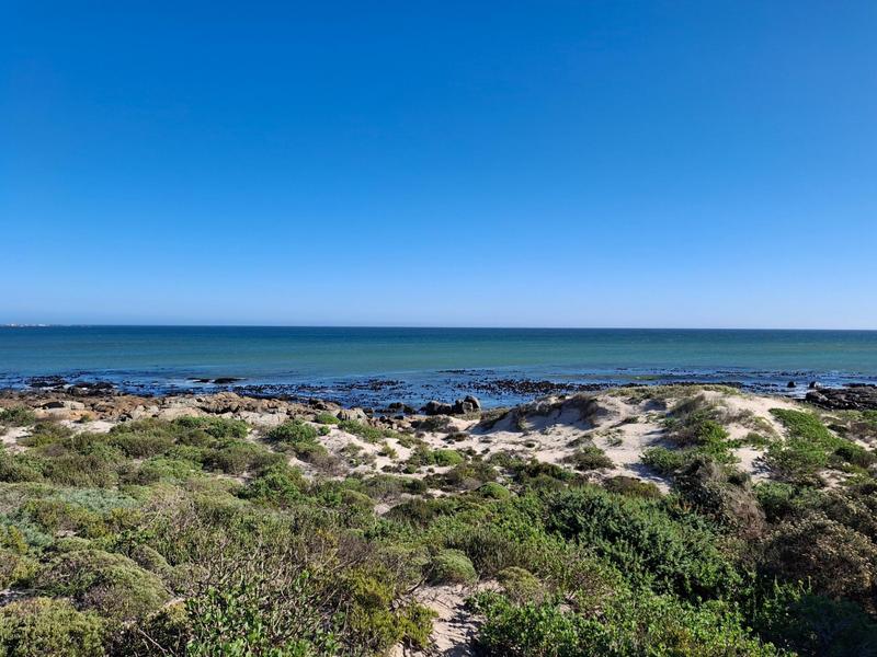 6 Bedroom Property for Sale in Duyker Eiland Western Cape